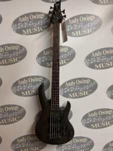 A ESP LTD B205SM STBLKS 5-String Bass Black Spaltic Maple with a logo on it.