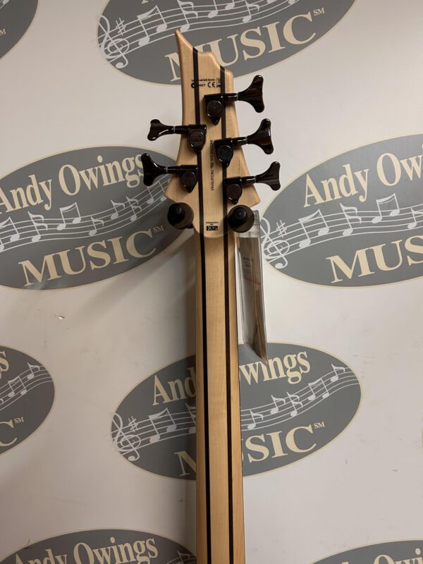 Andy owns an ESP LTD B205SM STBLKS 5-String Bass Black Spaltic Maple.
