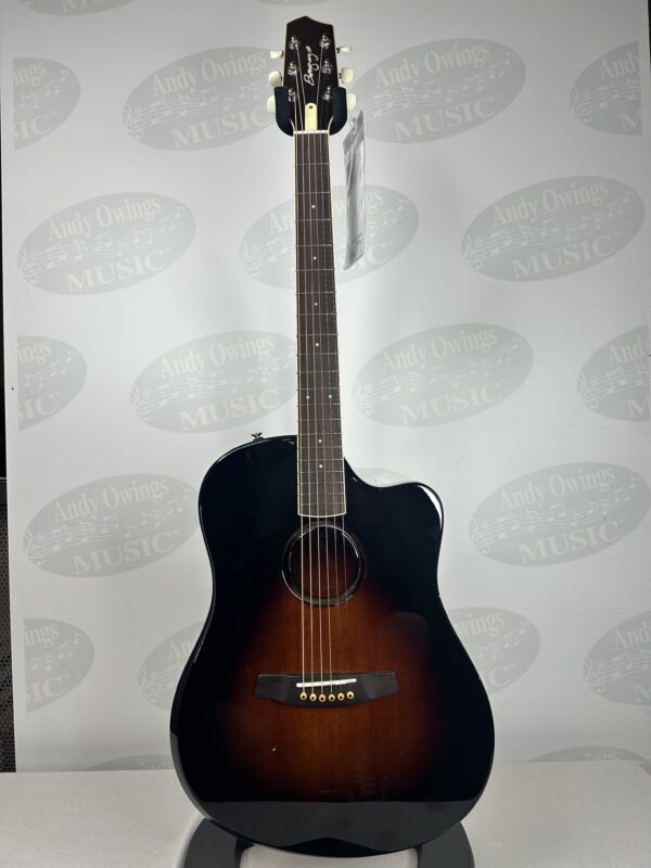 LR Baggs AEG-1 Acoustic-Electric Guitar - Image 2