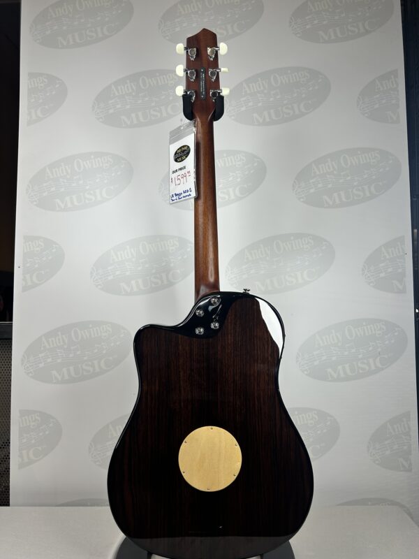 LR Baggs AEG-1 Acoustic-Electric Guitar - Image 5