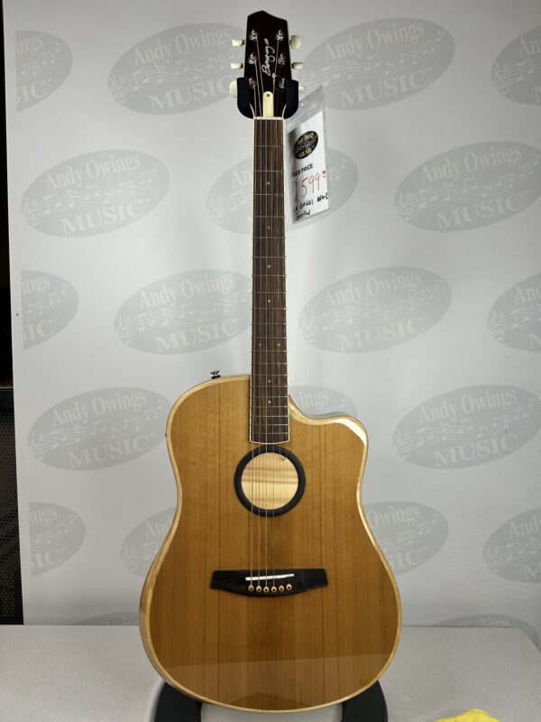 LR Baggs AEG-1 Acoustic-Electric Guitar - Image 4