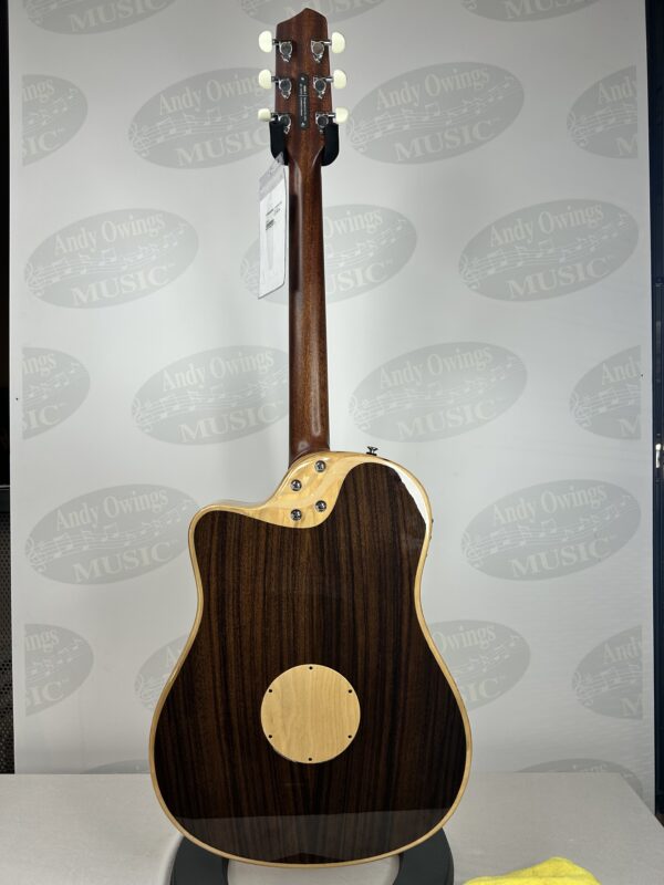 LR Baggs AEG-1 Acoustic-Electric Guitar - Image 3