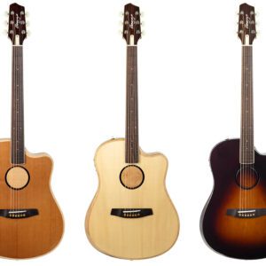 LR Baggs AEG-1 Acoustic-Electric Guitar