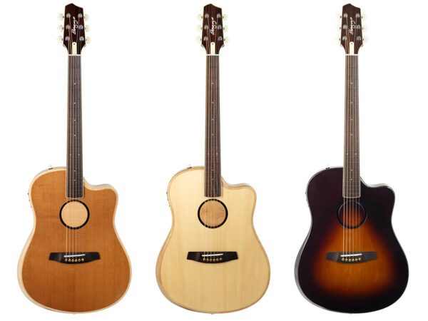 LR Baggs AEG-1 Acoustic-Electric Guitar